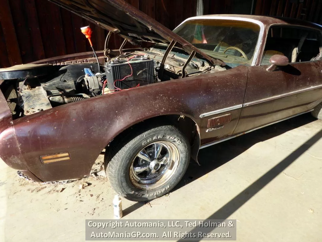 1971 Pontiac Firebird for sale