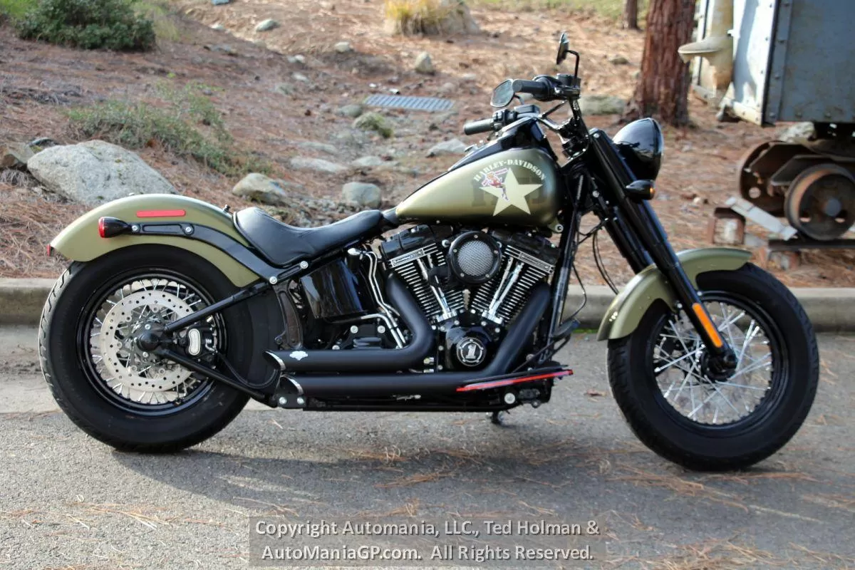 2016 Harley-Davidson Slim S FLSS for sale