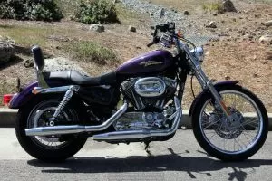 Sportster 1200C Motorcycle for sale