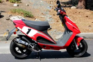 Phantom F12 Foggy 50cc Pit Bike Motorcycle for sale