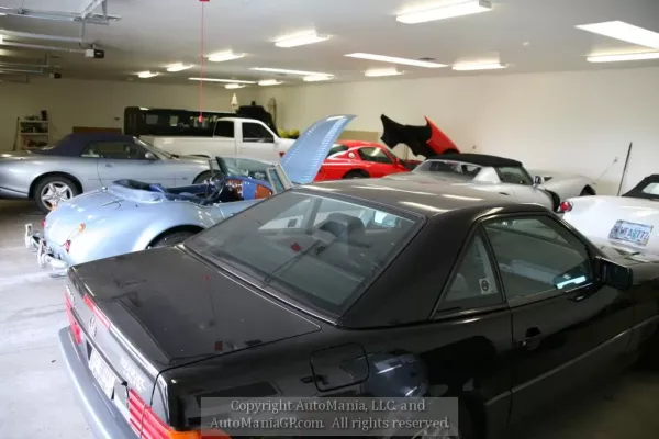 thumbnail for professional automotive collectors