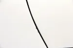 image of quality used vehicle for sale