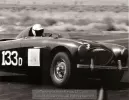 image for Austin Healey