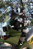 image of quality used vehicle for sale