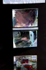 image of quality used vehicle for sale