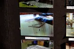 image of quality used vehicle for sale